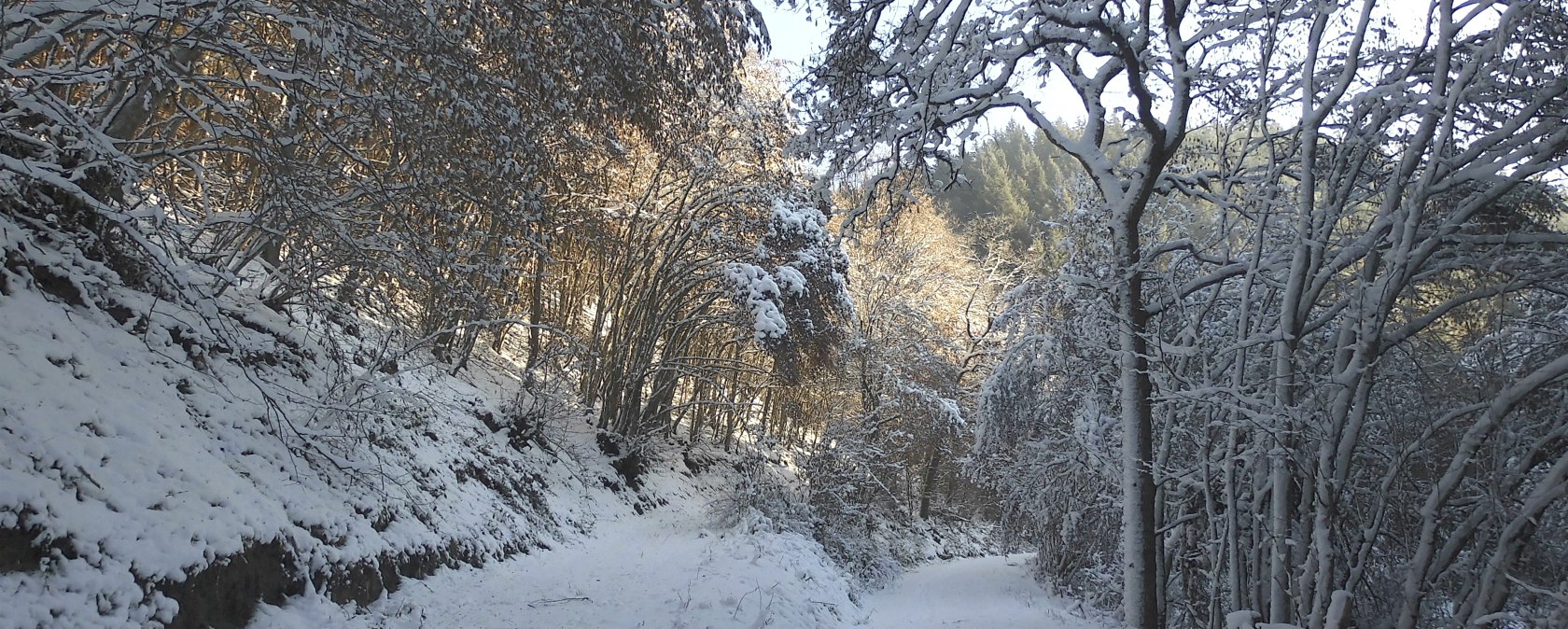 Antweiler im Winter, &copy; Rita Kaiser