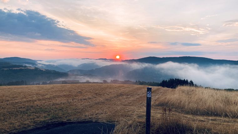 Weite Landschaft bei Sonnenaufgang am AhrSteig. Im Vordergrund liegen eine goldbraune Wiese und ein schmaler dunkler Weg. Rechts steht ein Wegweiserpfosten AhrSteig. Die Sonne erscheint knapp über dem Horizont und beleuchtet mehrere bewaldete Hügelzüge. Weiße Nebelschwaden füllen die Täler zwischen den Bergen. Der Himmel ist von sanften Rosa-, Orange-, Blau- und Grautönen geprägt, die sich über die gesamte Szene erstrecken. Die Landschaft wirkt offen, ruhig und von warmem Morgenlicht durchflutet.