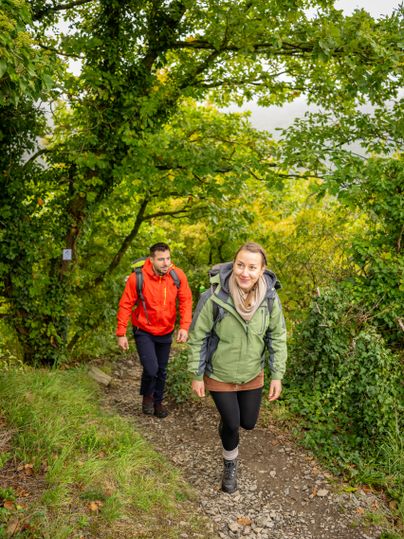 Zwei Personen wandern auf einem Waldweg, umgeben von grünen Bäumen.