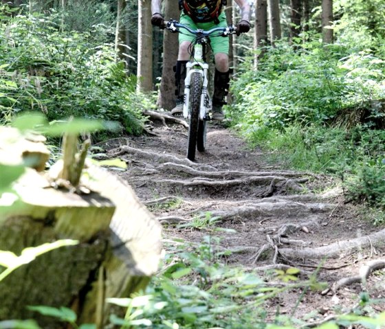 Mountain bike Eifel, © schanze communication