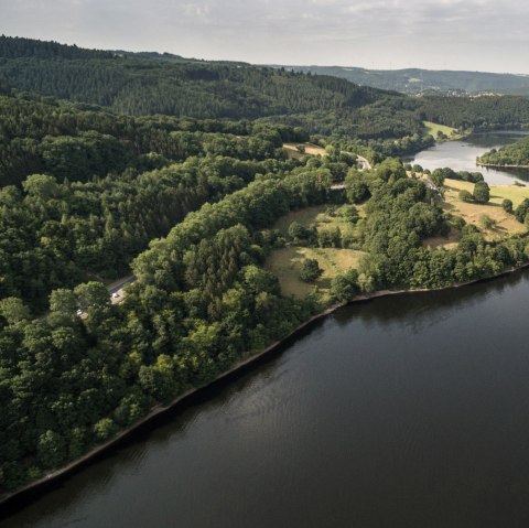 Vue sur la vall&eacute;e d'Einruhr sur le sentier de l'Eifel, &copy; Eifel Tourismus/D. Ketz