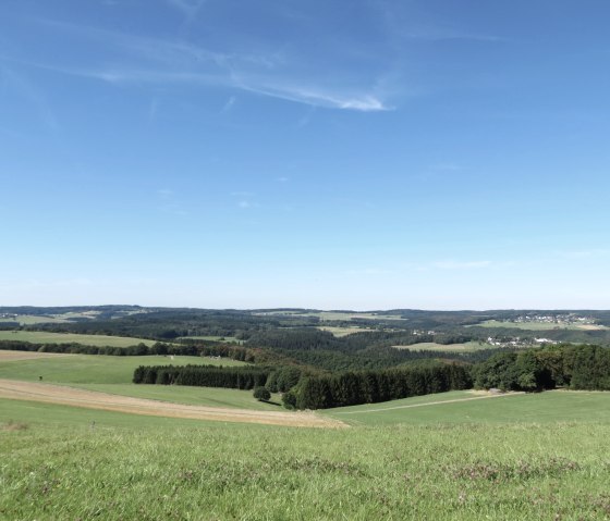 Uitgestrekt landschap met groene velden, bossen en dorpjes onder een strakblauwe hemel., © TI Hocheifel Nürburgring