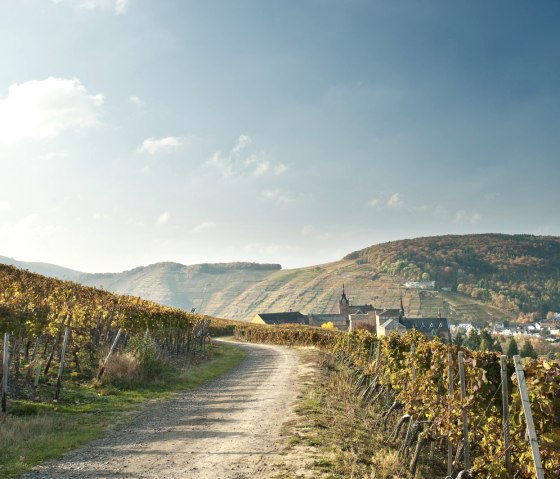 AhrSteig mit Blick zum Kloster Kalvarienberg in Ahrweiler, &copy; Ahrtaltourismus, Dominik Ketz