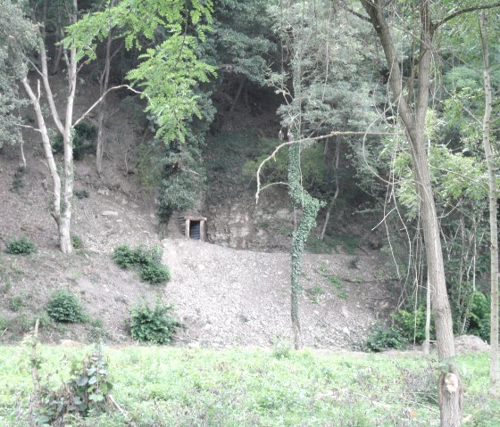 Gold hole Grubenfeld near Insul, © Gerd Spitzlay