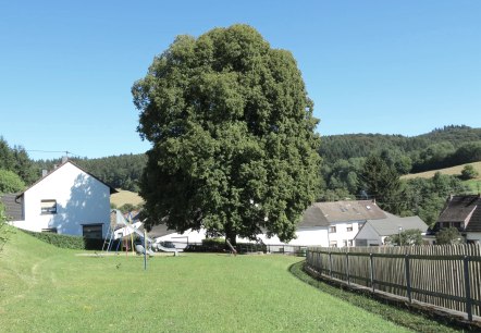 Wirft, &copy; VG Adenau