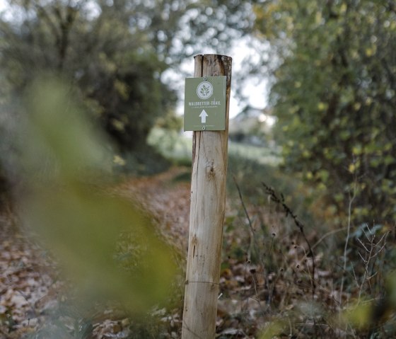 Een bord met "Waldretter-Trail" op een houten paal markeert een herfstig bospad. Bladeren bedekken de grond, omringd door bomen., &copy; &copy;Wohlleben_Waldakademie