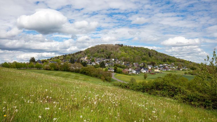 Eine grüne Wiese mit vielen Löwenzahnblüten und sanften Hügeln im Hintergrund. Der Himmel ist bewölkt mit vereinzelt blauen Stellen.