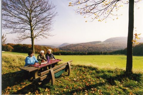 Drei Personen sitzen an einem Tisch in der Natur. Im Hintergrund ist eine grüne Landschaft mit Hügeln und Bäumen zu sehen.