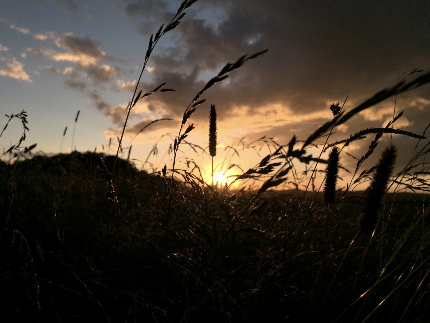 Herbstsonne in der Eifel, &copy; Sebastian Schulte