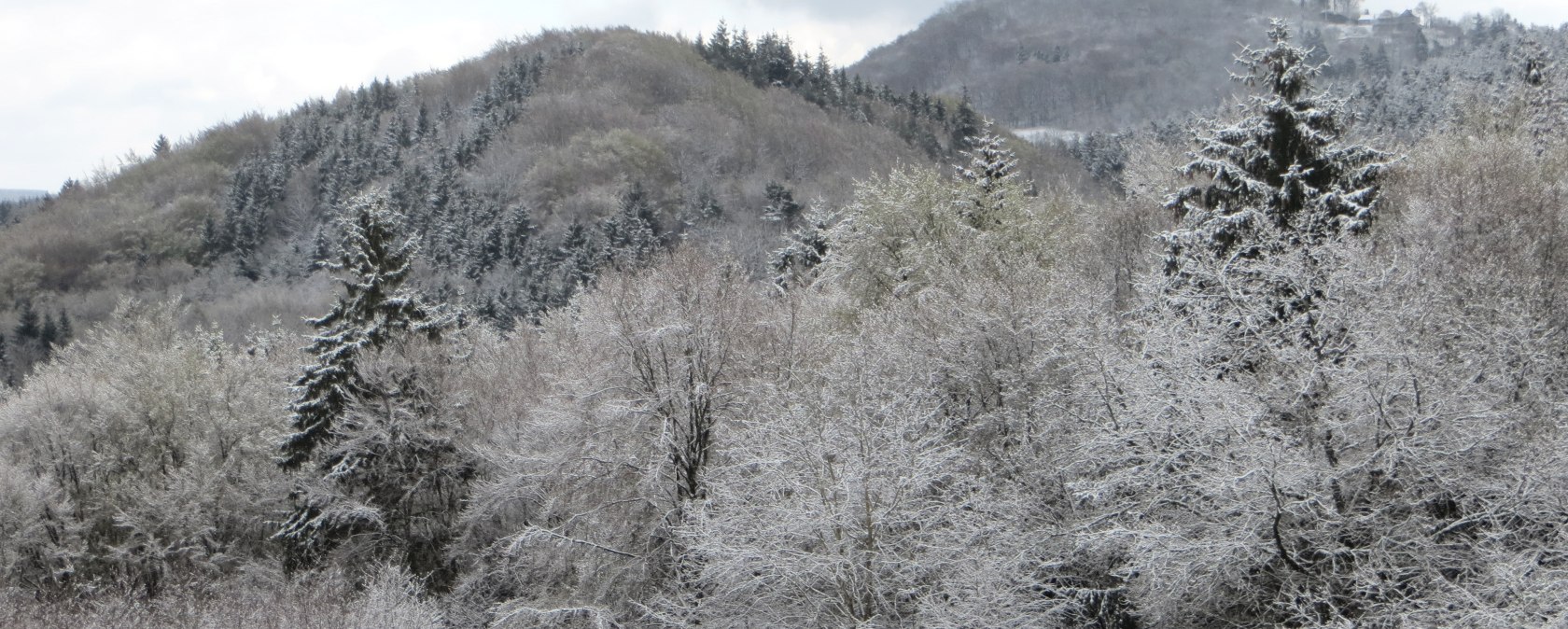 Winterbild Blick zur N&uuml;rburg, &copy; Walter Schmitz