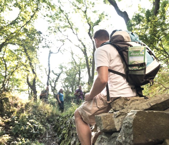 AhrSteig op de Neuenahrer-Berg, © Ahrtaltourismus e.V.