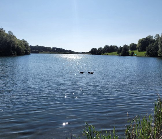 Freilinger See, © Schmidt FeWo Eifelnest Wershofen