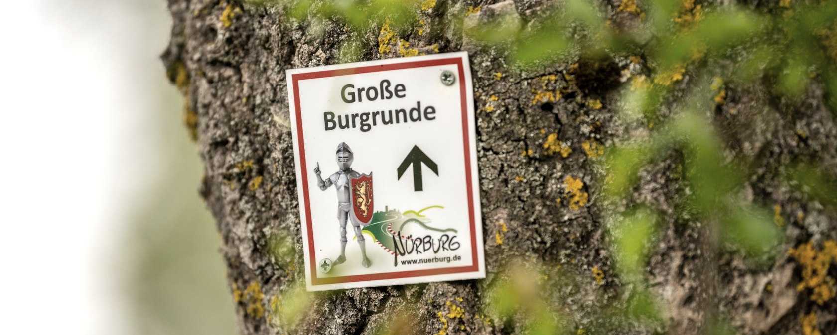 Rundwanderweg um die Burgruine N&uuml;rburg , &copy; TI Hocheifel-N&uuml;rburgring,D.Ketz 