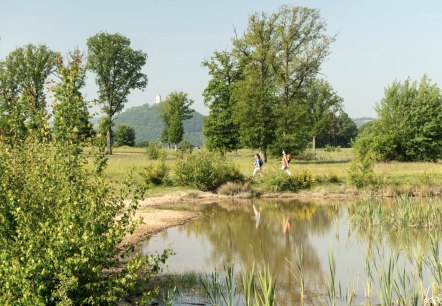 Hiking at the Rodder Maar, Olbrück Castle in the background, © Eifel Tourismus GmbH, D. Ketz