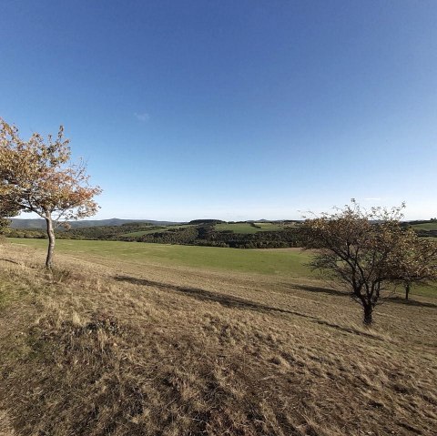 Panoramablick H&uuml;rstn&uuml;ck, &copy; TI Hocheifel-N&uuml;rburgring, Peter Koch