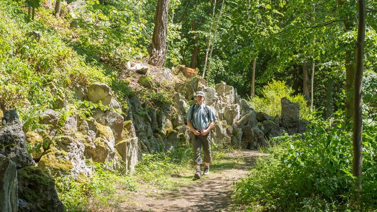 Person wandert auf einem Waldweg mit Felsen und Bäumen.