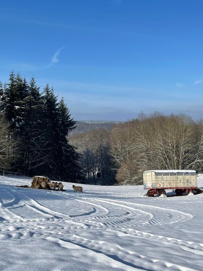 Un paysage enneigé avec une voiture et des arbres en arrière-plan. Le ciel est clair et bleu.
