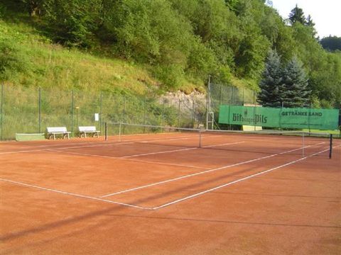 Ein Tennisplatz mit rotem Sand und Linien. Im Hintergrund sind Bäume und eine grüne Werbefläche zu sehen.