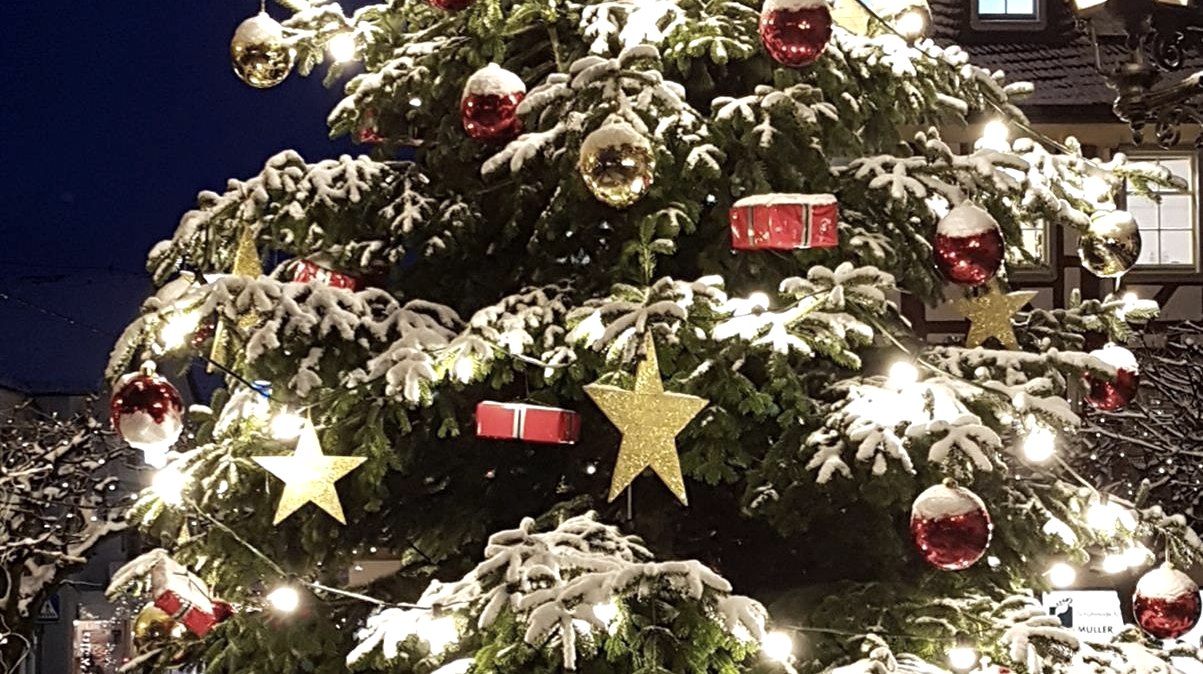 Weihnachtsbaum, © Daniela Scheffold