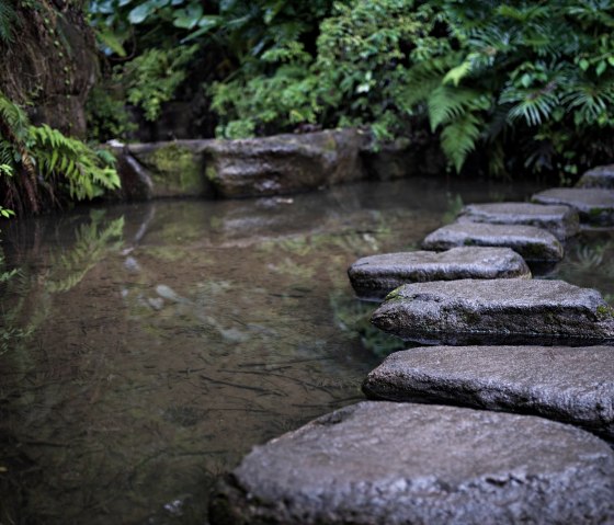 Bachlauf, &copy; Bachlauf&copy;ArchivfotoMicrosoft