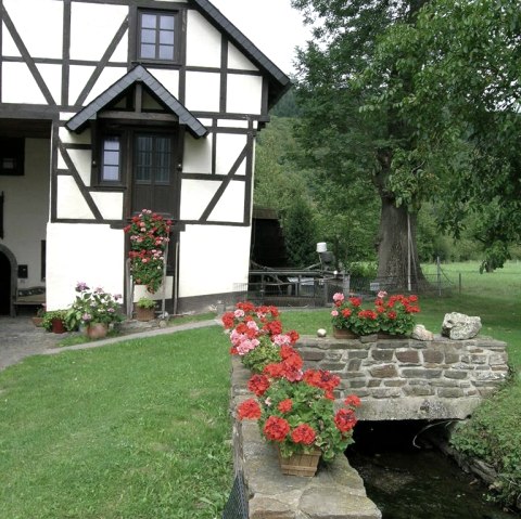 Hahnensteiner Mühle, © Tourist-Information Hocheifel Nürburgring