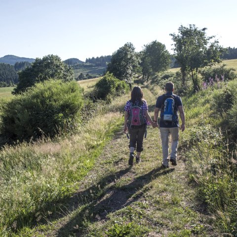 Wanderer, © Kappest