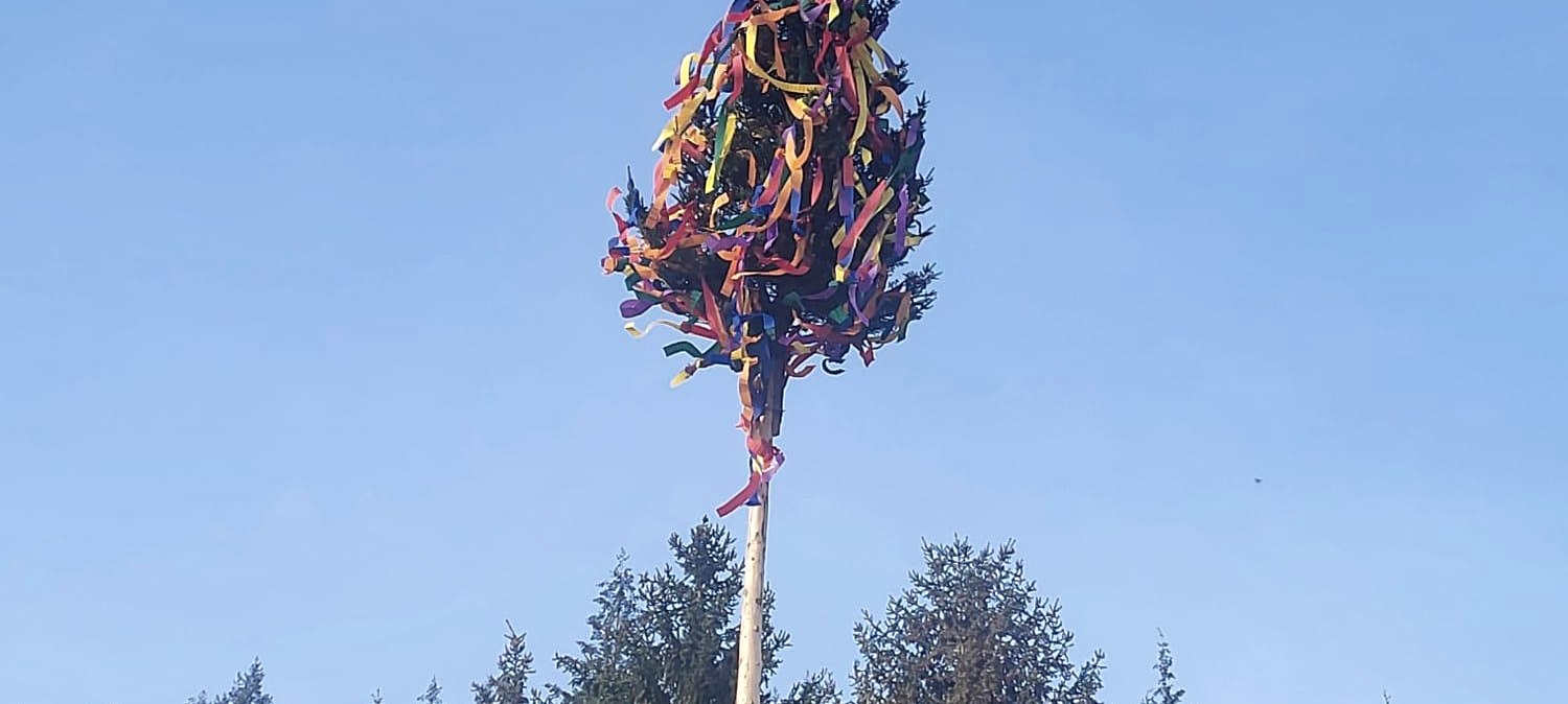 Maibaum, &copy; Daniela Scheffold