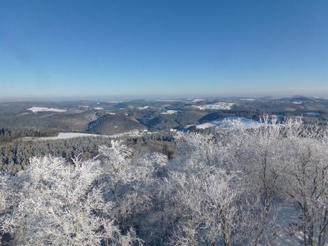 Eine winterliche Landschaft mit schneebedeckten Bäumen und einem klaren blauen Himmel. Die sanften Hügel im Hintergrund sind ebenfalls mit Schnee überzogen.