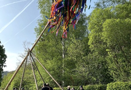 Aufstellen des Maibaums, © Daniela Scheffold