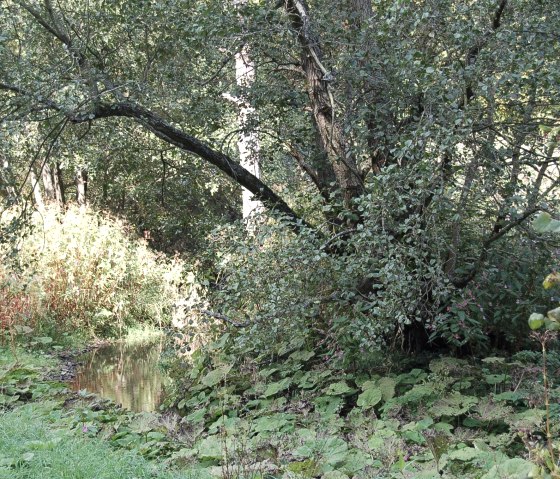 Rund um Wershofen_3, &copy; Landgasthaus Pfahl