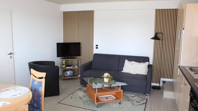 Living kitchen with dining table, chairs, cozy lounge area, TV, and kitchenette