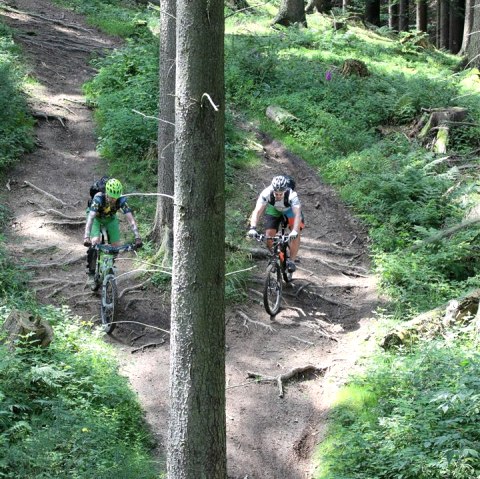 mountainbike-in-der-hocheifellschanze-communication-tourist-information-hocheifel-nuerburgring, &copy; TI Hocheifel N&uuml;rburgring&copy;SchanzeCommunication