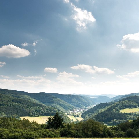 Aussicht Dümpelhardt, © Ahrtaltourismus e.V.,Dominik Ketz