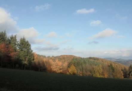 Herbstimpression, © Rita Kaiser