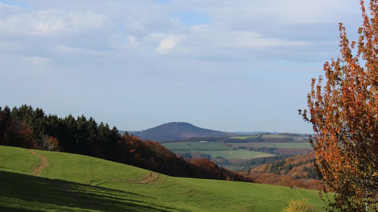 Landschaft mit grünen Wiesen, Bäumen und einem Hügel im Hintergrund unter blauem Himmel.